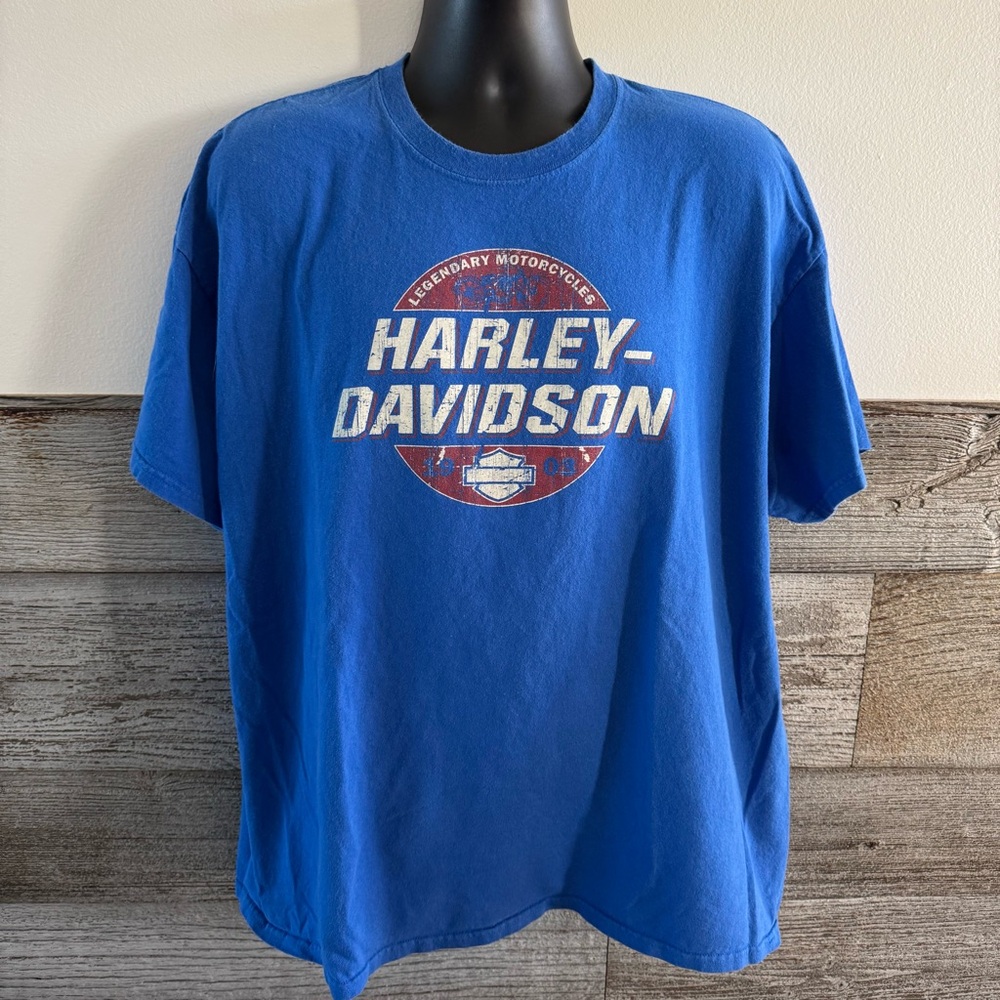 Harley-Davidson shirt Reel Bros HD Wisconsin Dells Mauston, WI Size 2X (Q1)